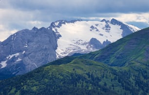a mountain range covered in snow and green trees