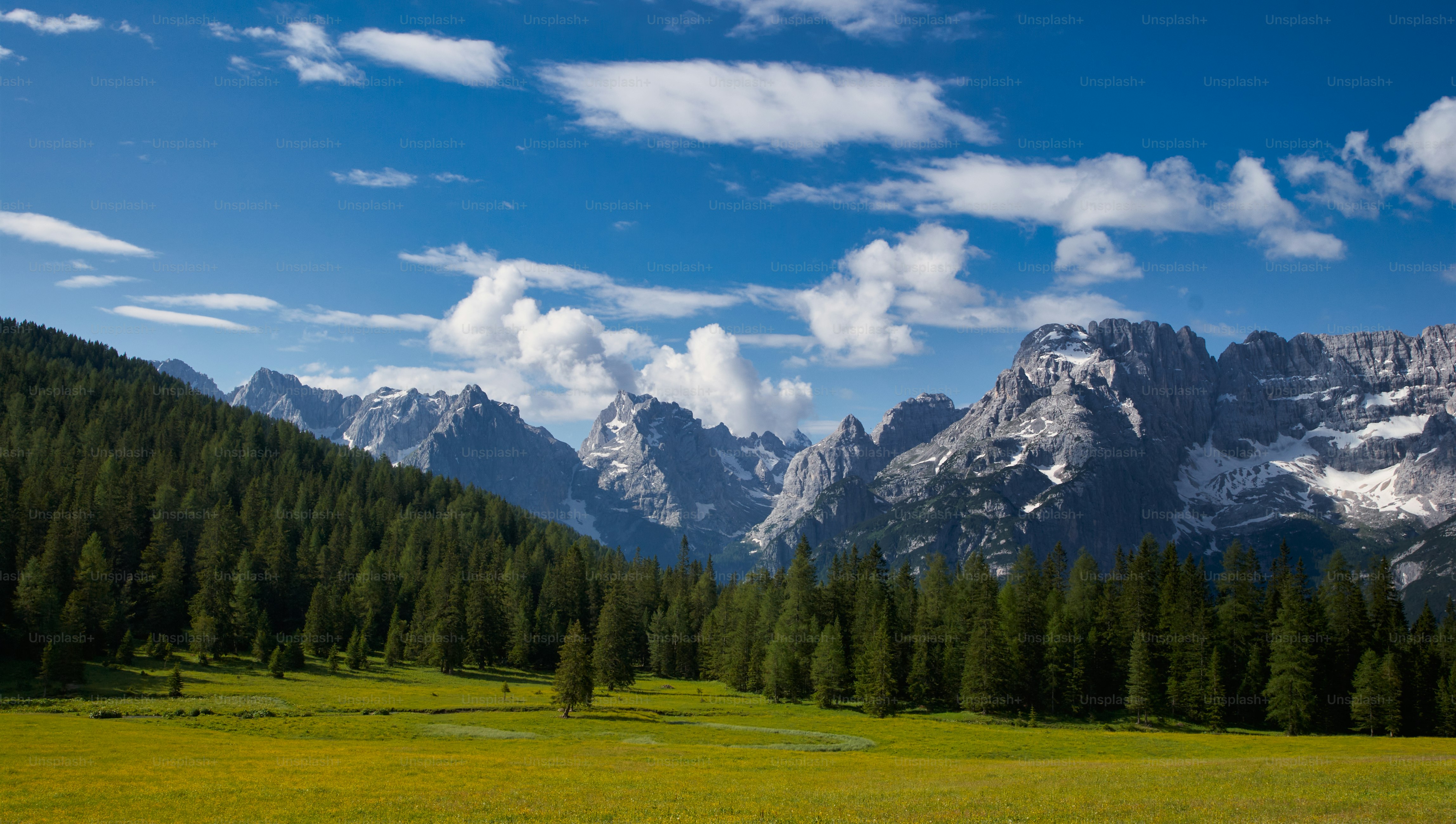 un campo erboso con alberi e montagne sullo sfondo