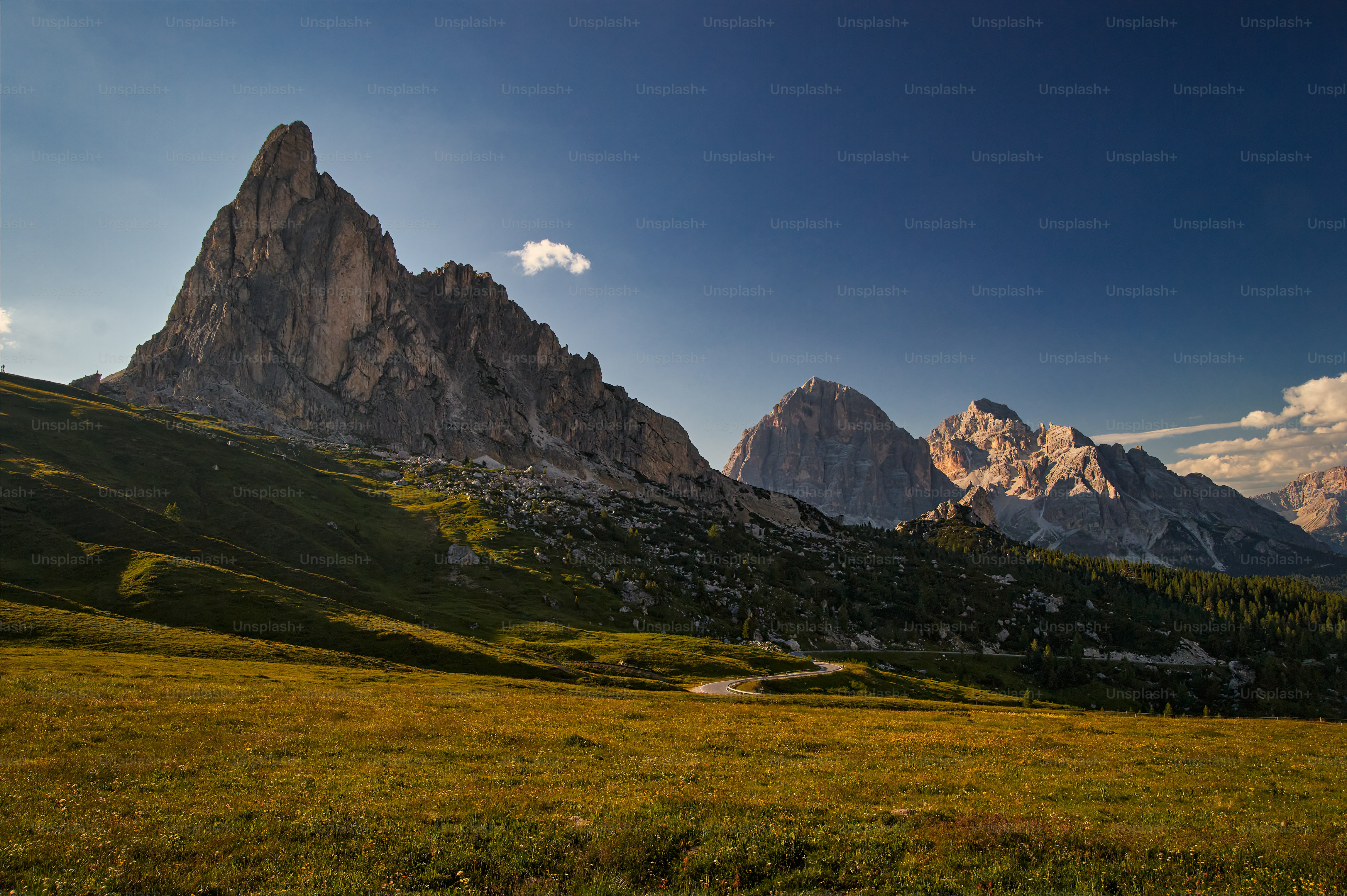 un campo erboso con le montagne sullo sfondo