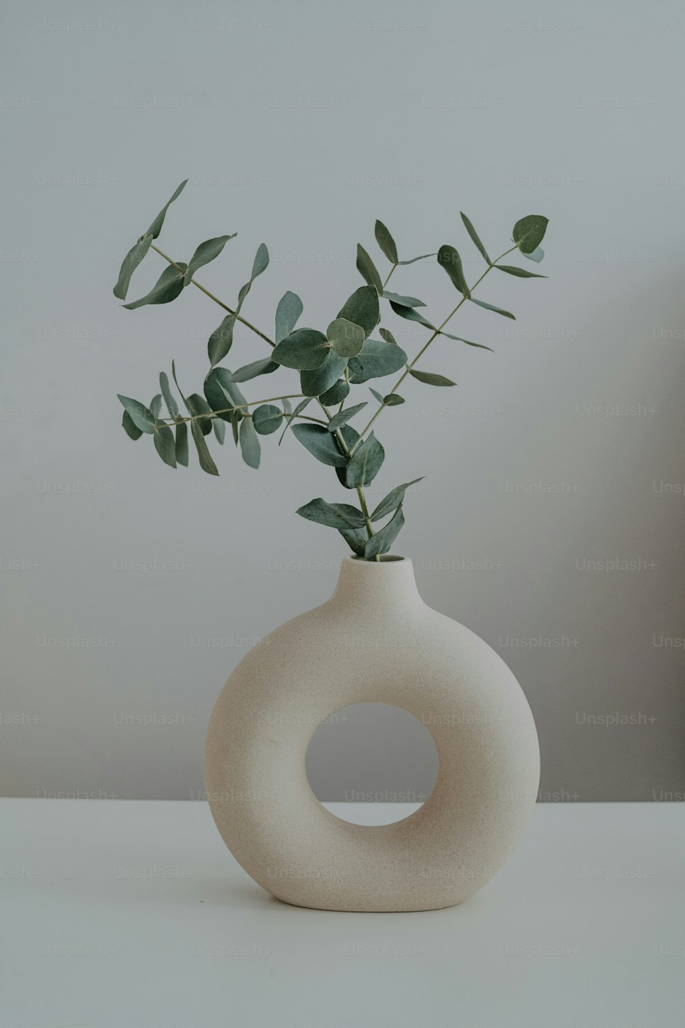 a white vase with a plant inside of it