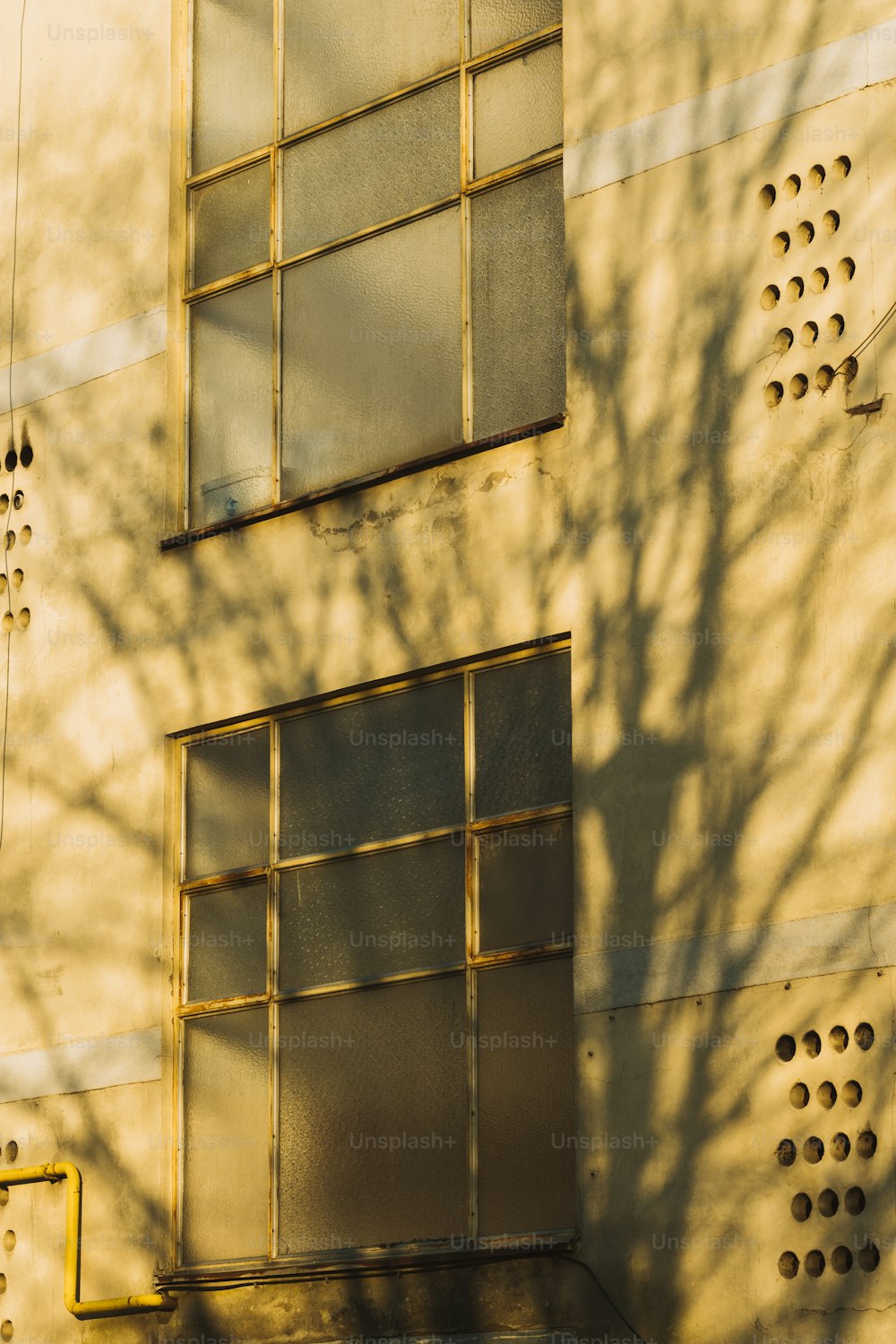 la sombra de un árbol en el costado de un edificio