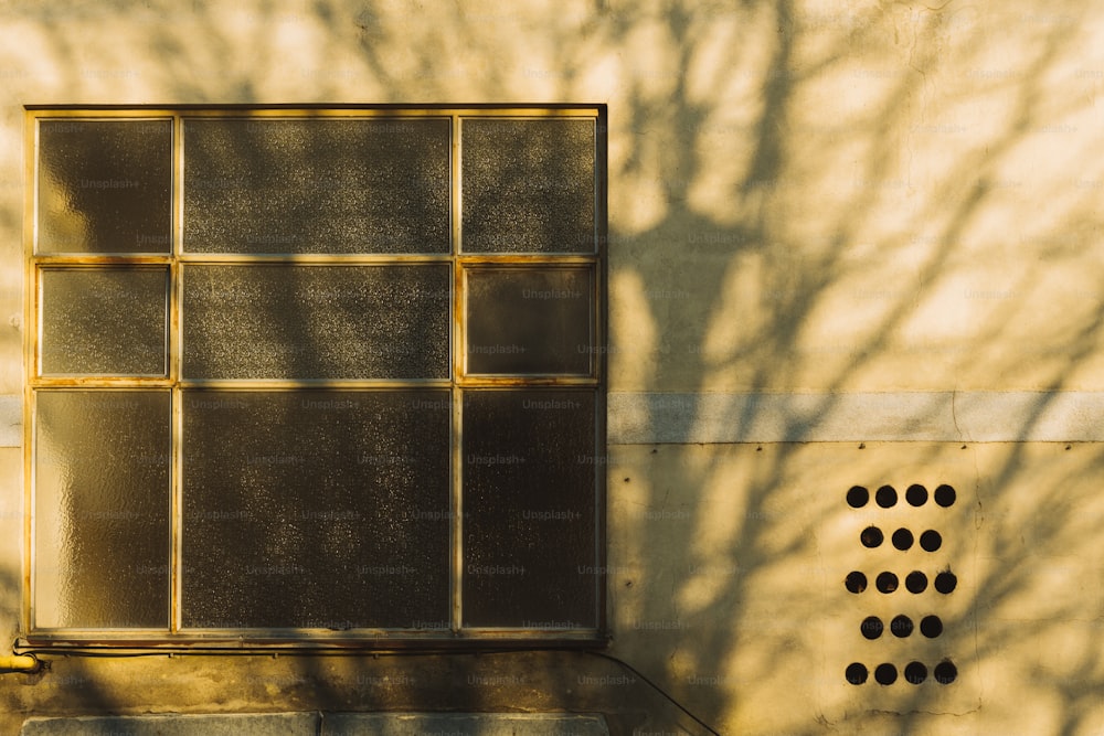 the shadow of a tree on the wall of a building