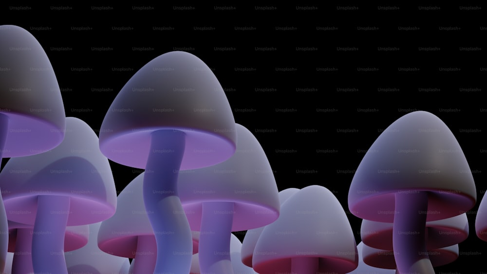 a group of mushrooms that are in the dark