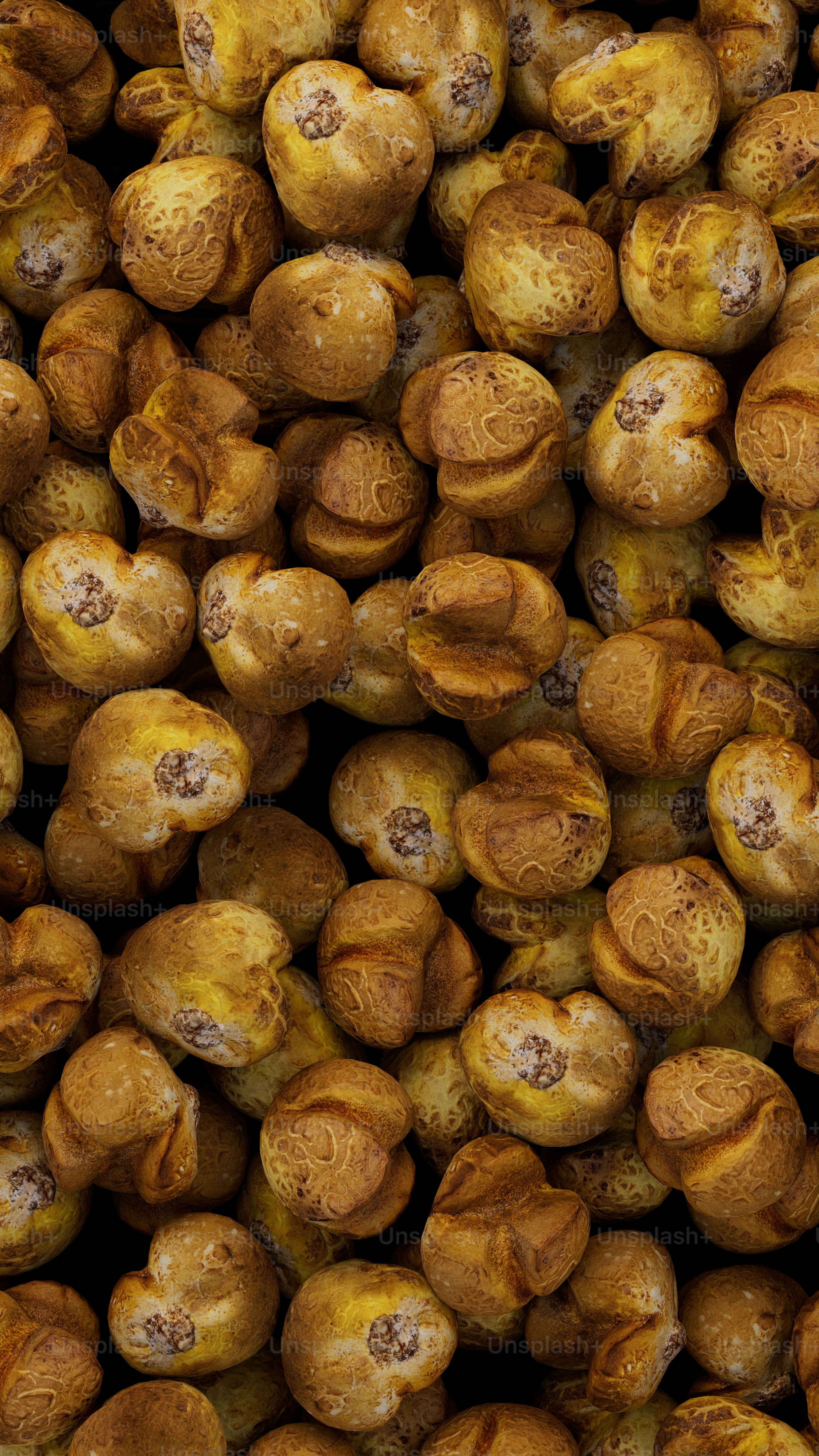 প্রিমিয়াম রোস্টেড মাখানা (Fox Nuts)