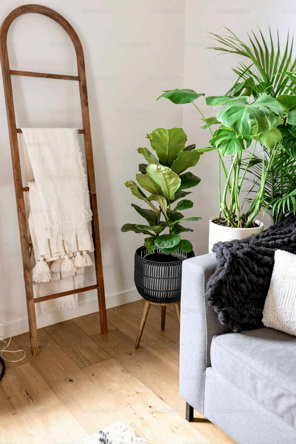 a living room with a couch, chair, and potted plants