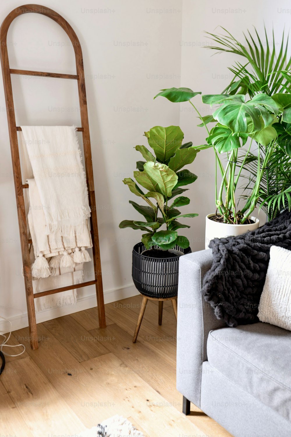 una sala de estar con sofá, silla y plantas en macetas