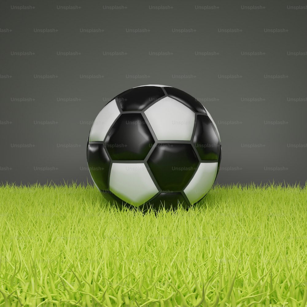 a soccer ball sitting on top of a lush green field