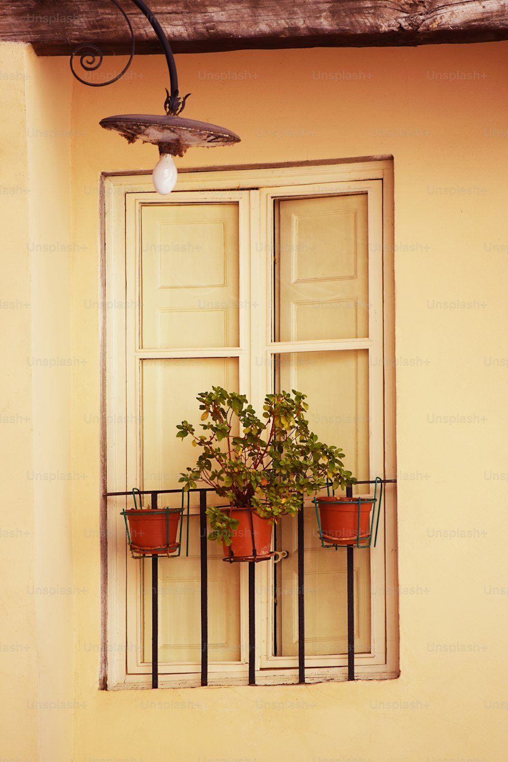 una finestra con una pianta in vaso