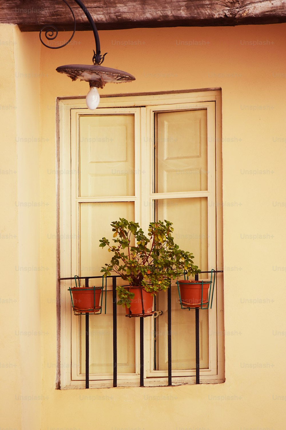 a window with a potted plant in it