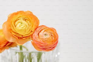 Tres flores naranjas y amarillas en un jarrón de cristal