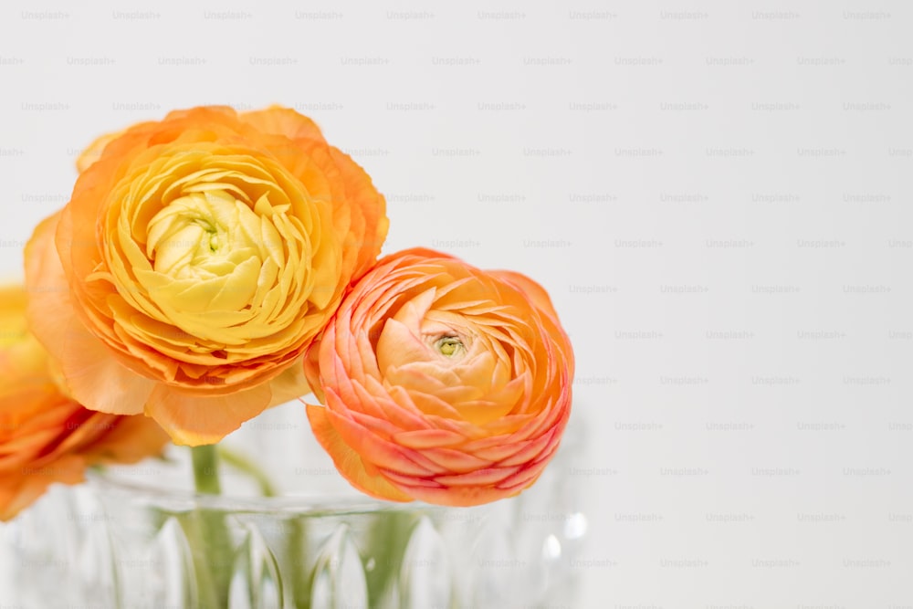 three orange and yellow flowers in a glass vase
