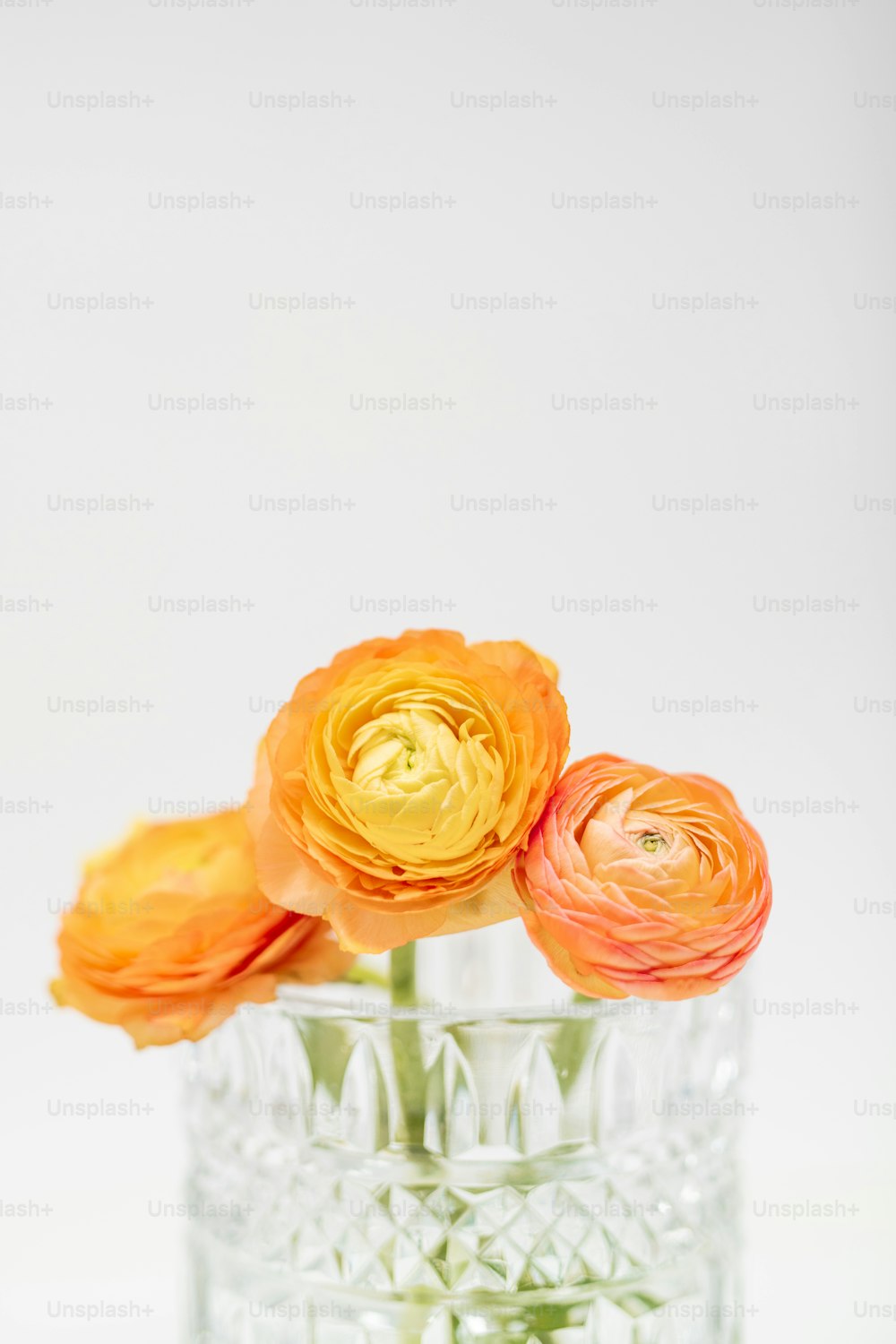 three orange flowers in a clear glass vase