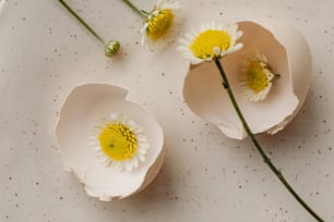 tre fiori bianchi seduti sopra un piatto bianco