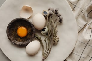 달걀과 달걀 껍질을 얹은 흰 접시