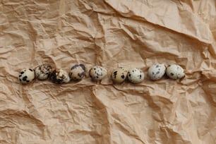 a row of quails sitting on top of a piece of paper