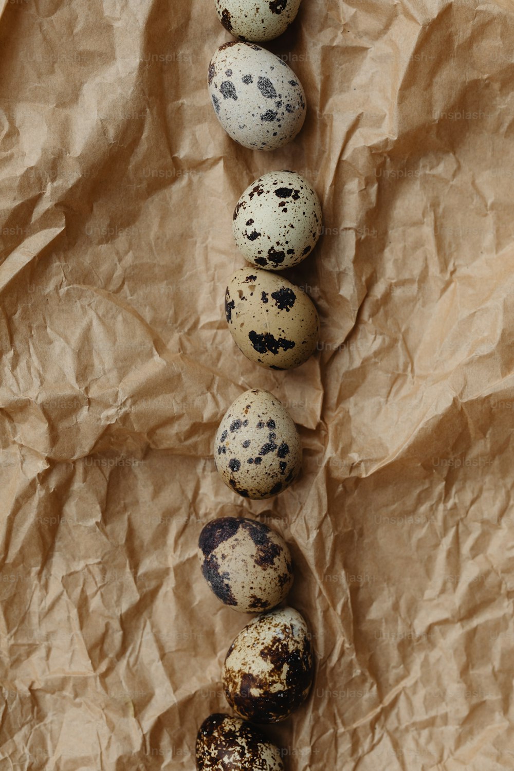 a row of quails sitting on top of a piece of paper