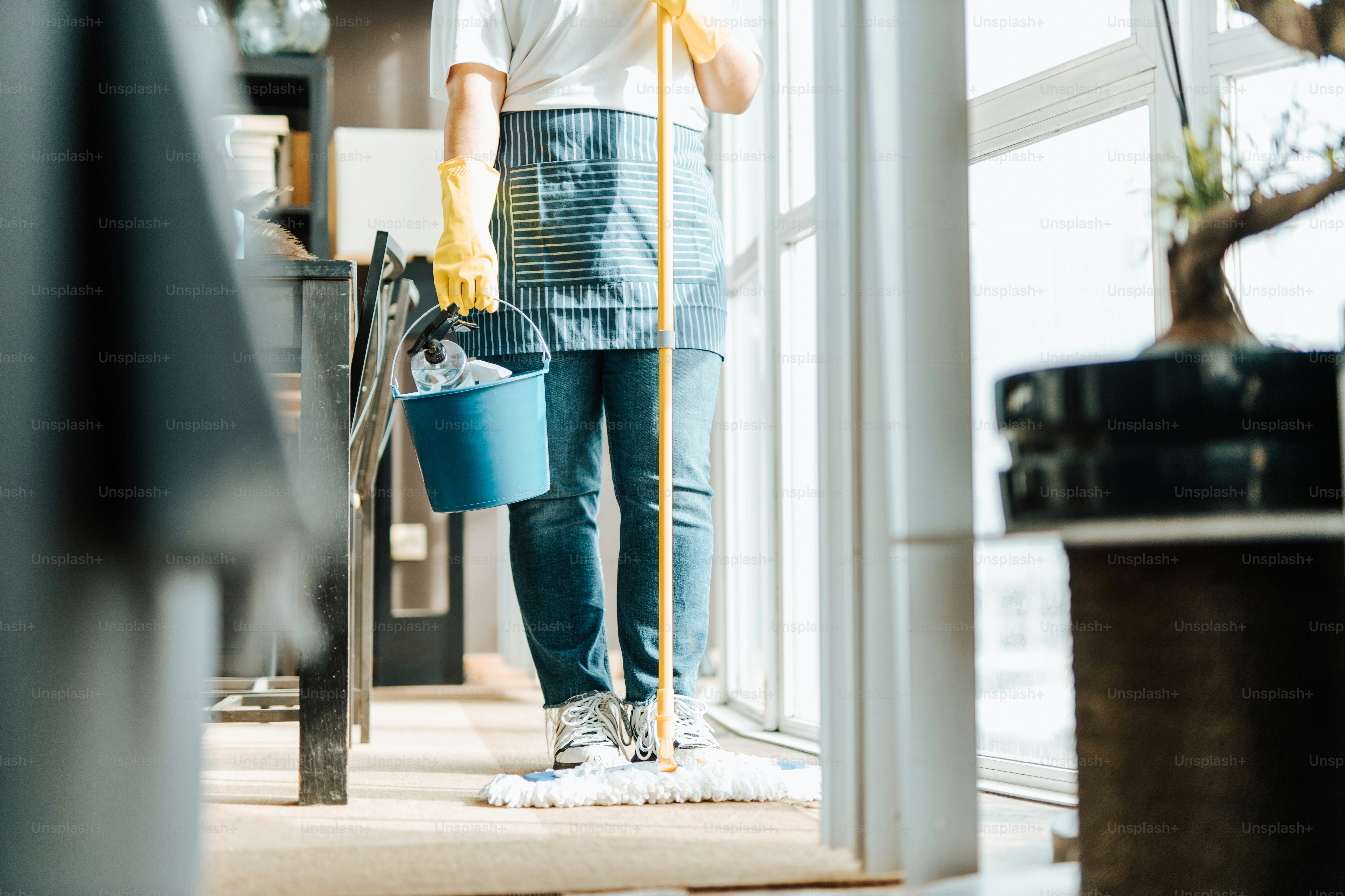 Spring Cleaning Services