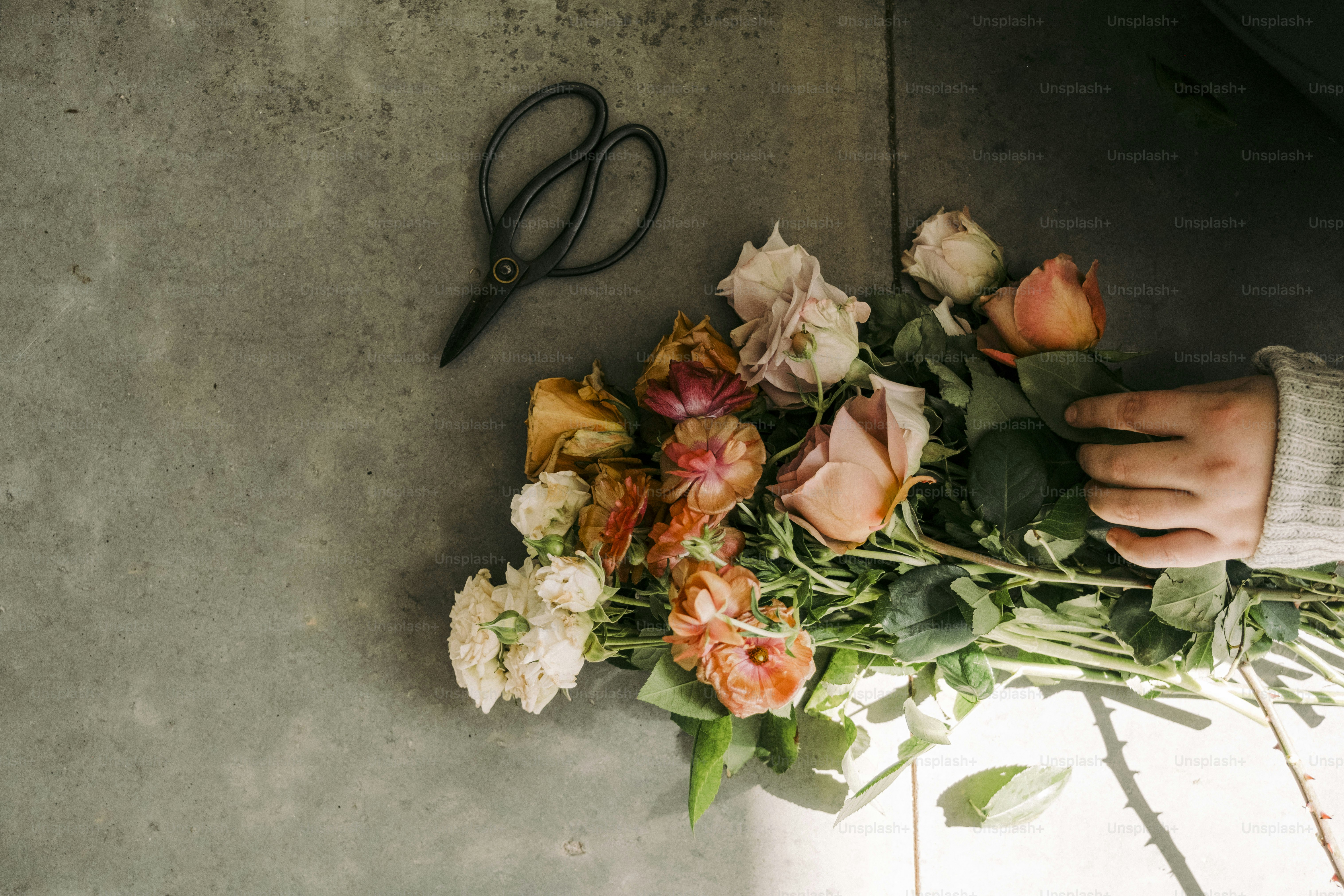 A bunch of flowers and a pair of scissors photo – Roses Image on Unsplash