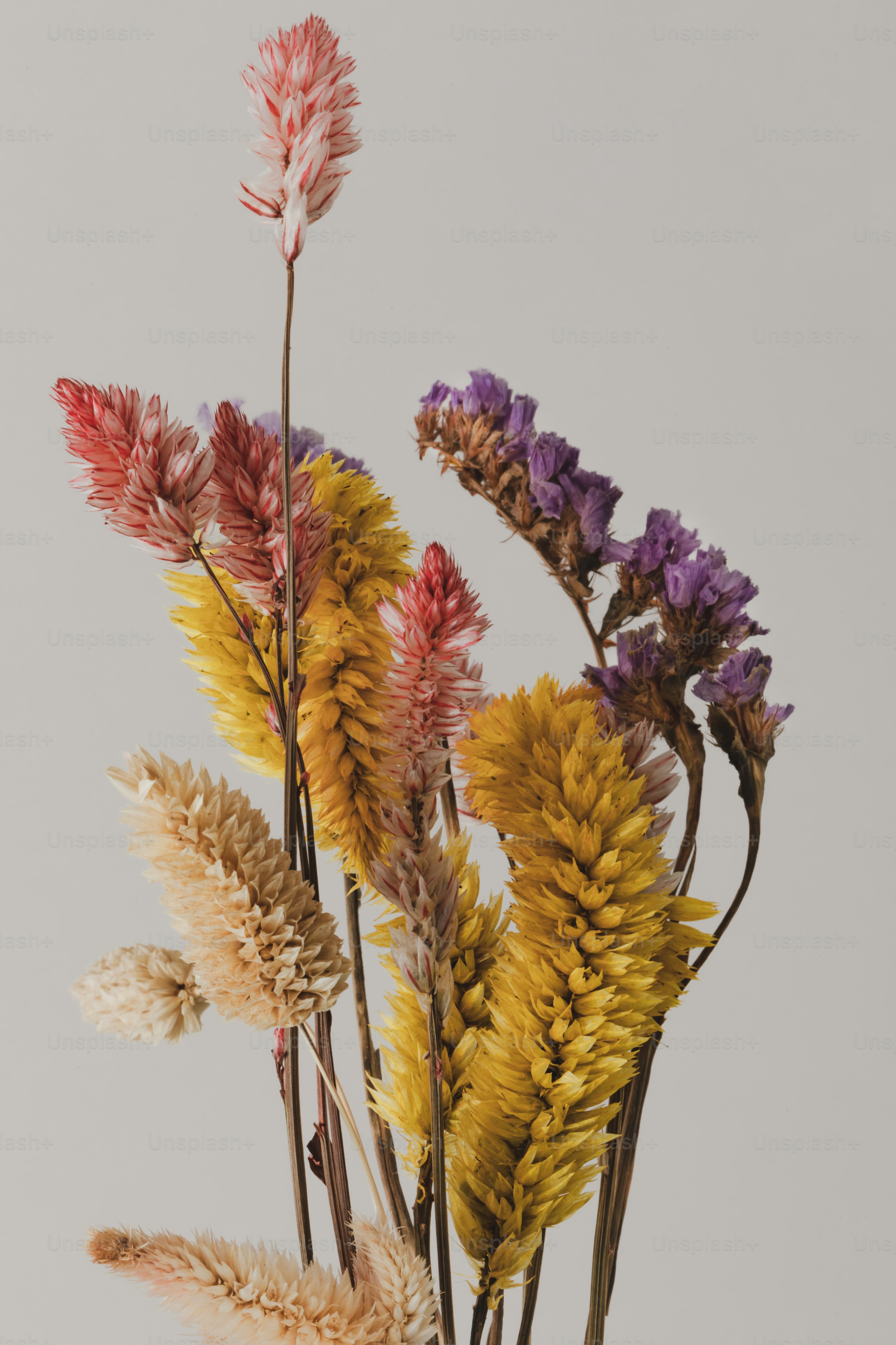 a bunch of flowers that are in a vase