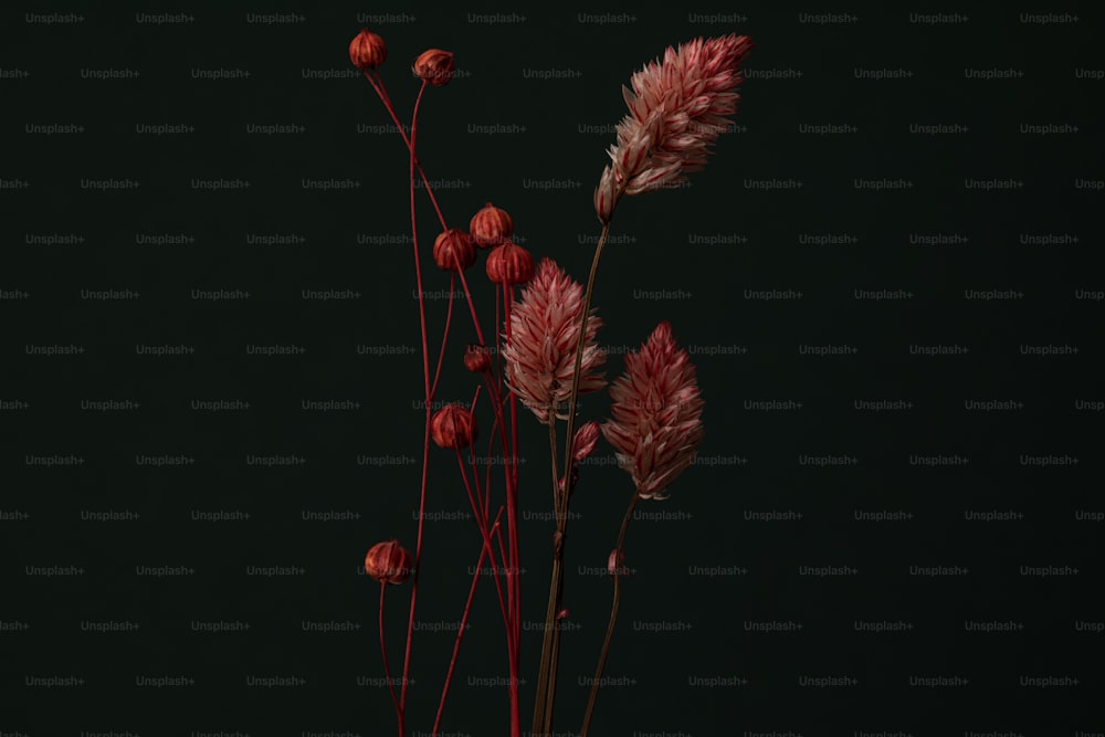 a close up of a vase with flowers in it