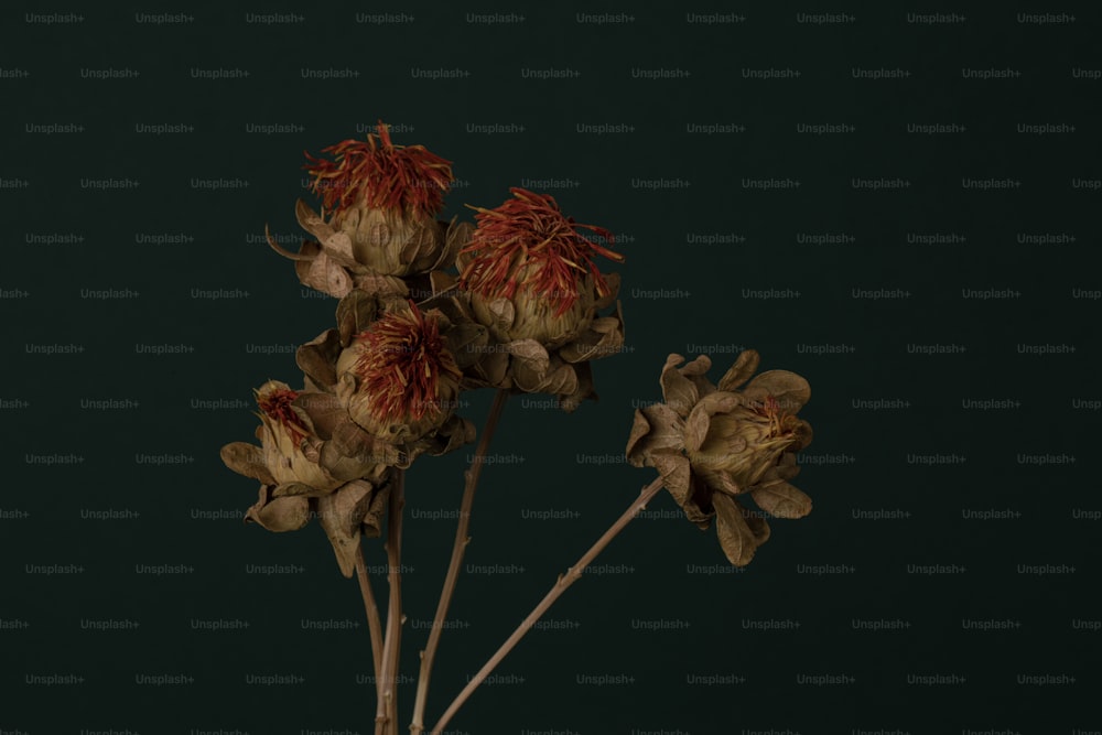 a bunch of dead flowers in a vase