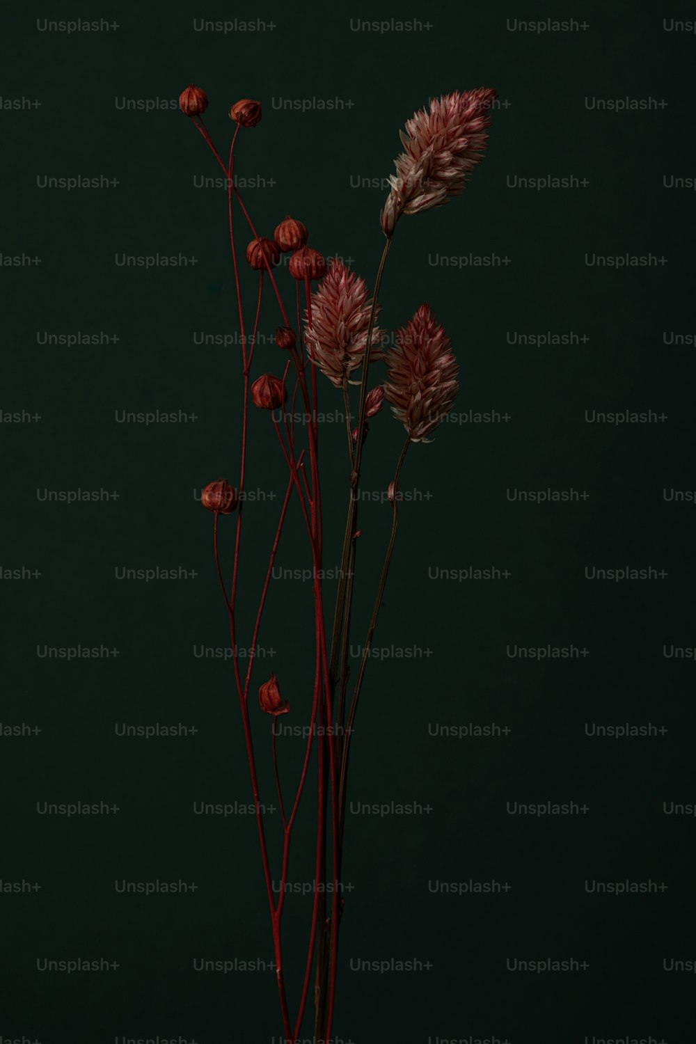 テーブルの上に赤い花でいっぱいの花瓶