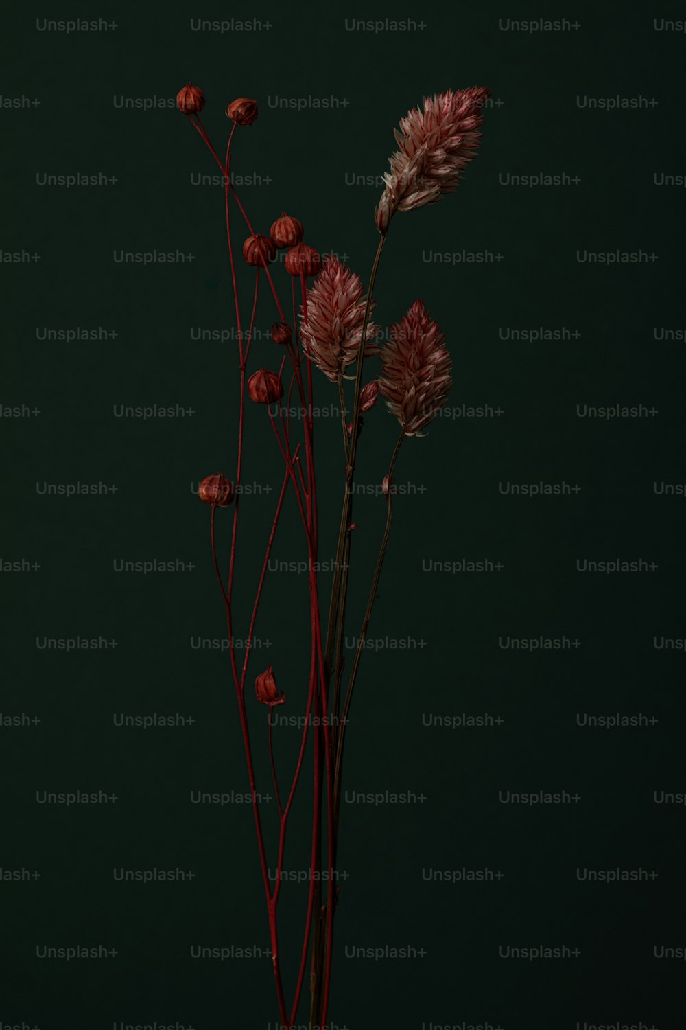 a vase filled with red flowers on top of a table