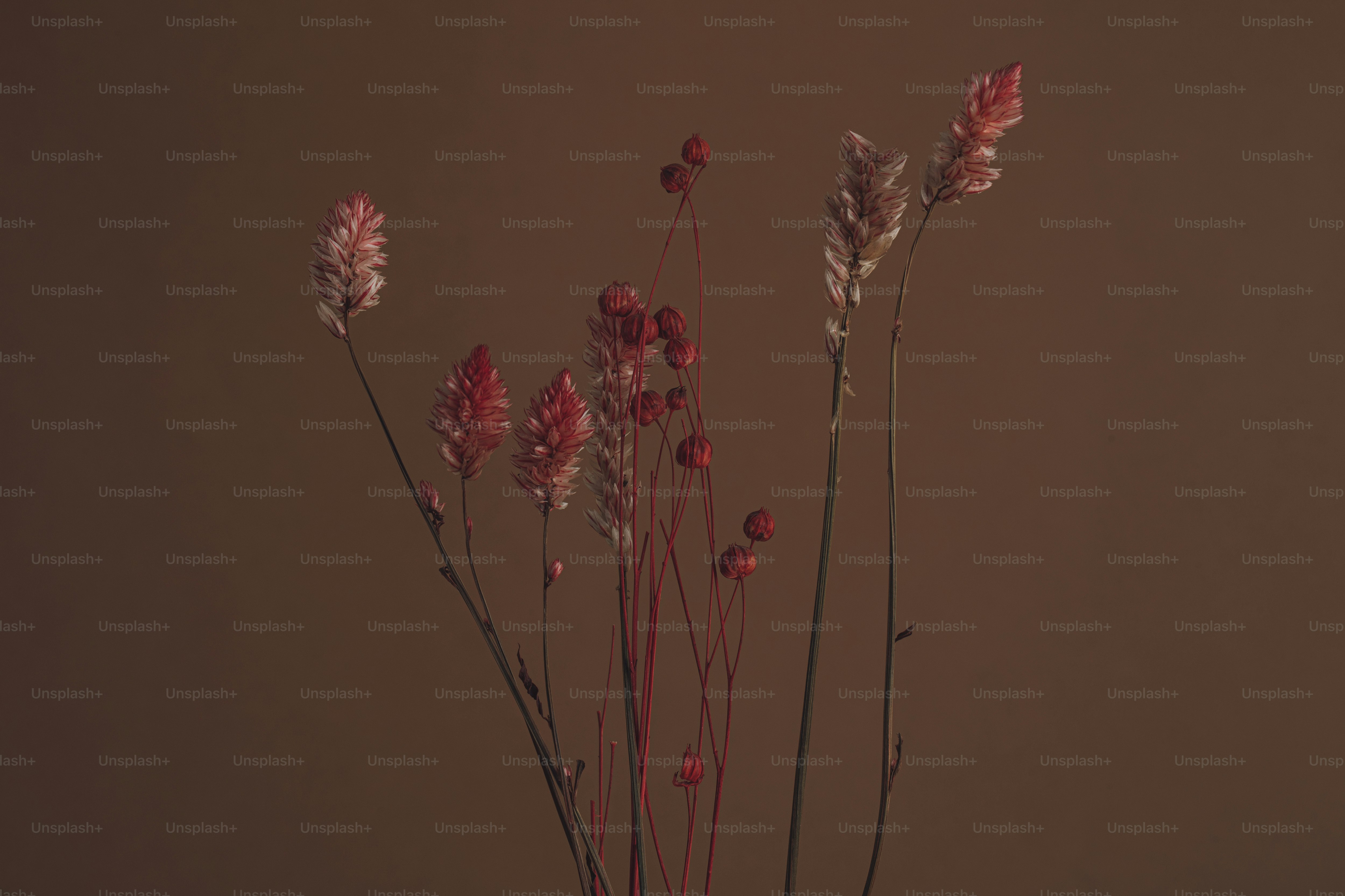 ein Blumenstrauß, der in einer Vase ist