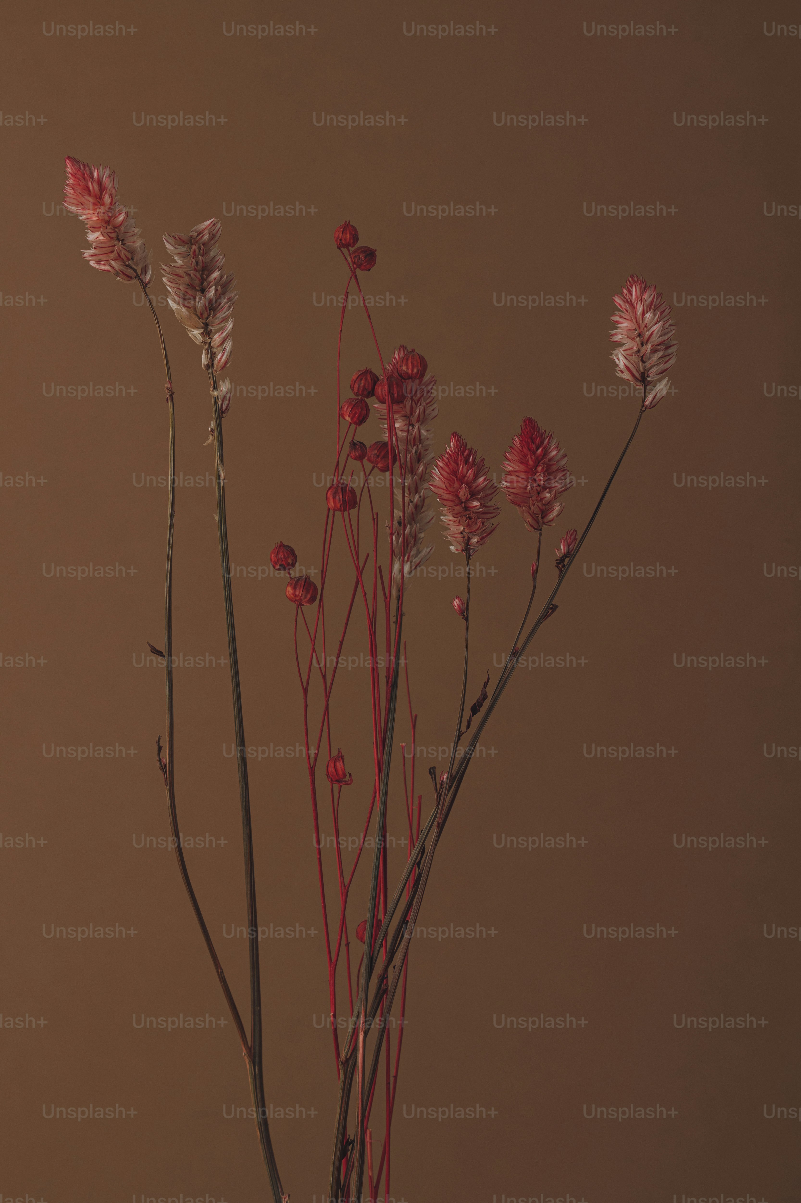 eine Nahaufnahme einer Vase mit Blumen darin