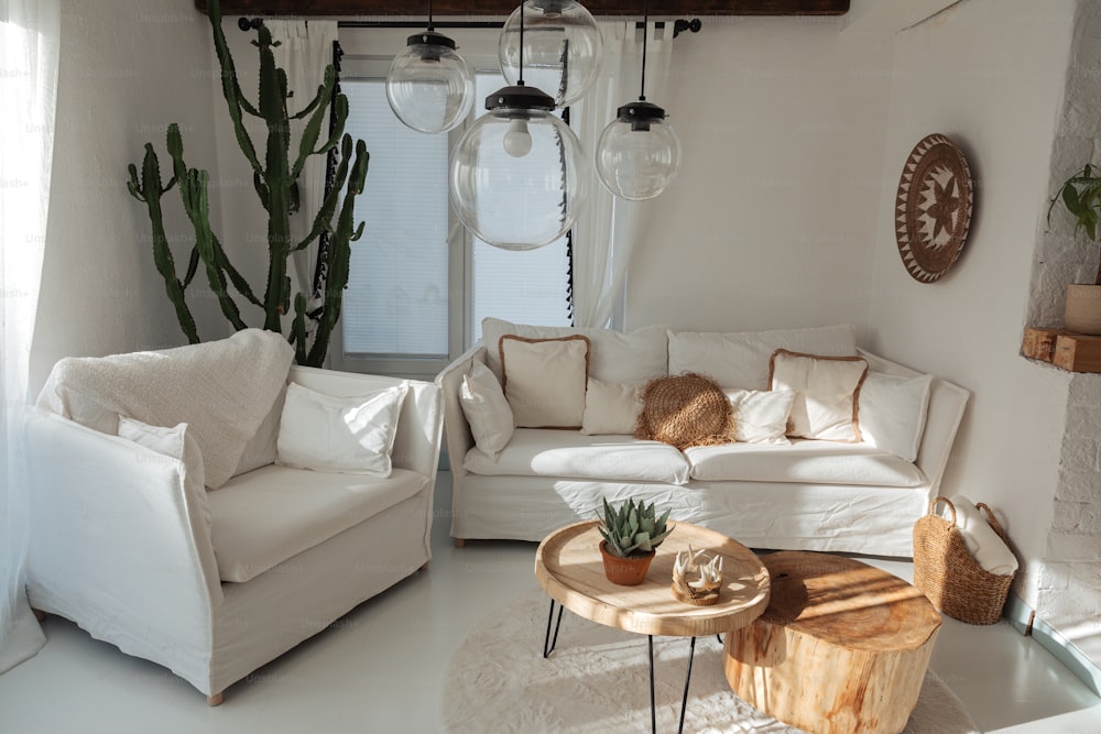 ein Wohnzimmer mit Möbeln und einem Kaktus