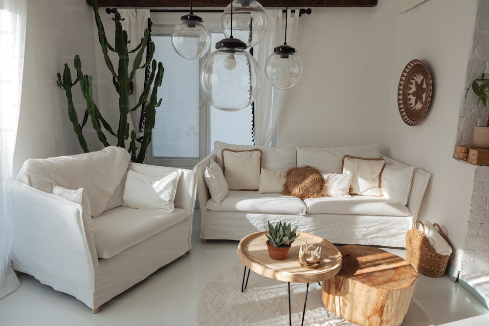 a living room filled with furniture and a cactus