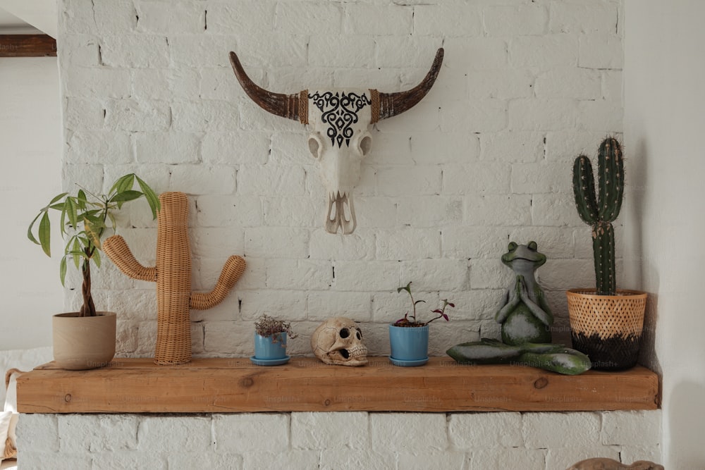 a white brick wall with a cow skull on top of it