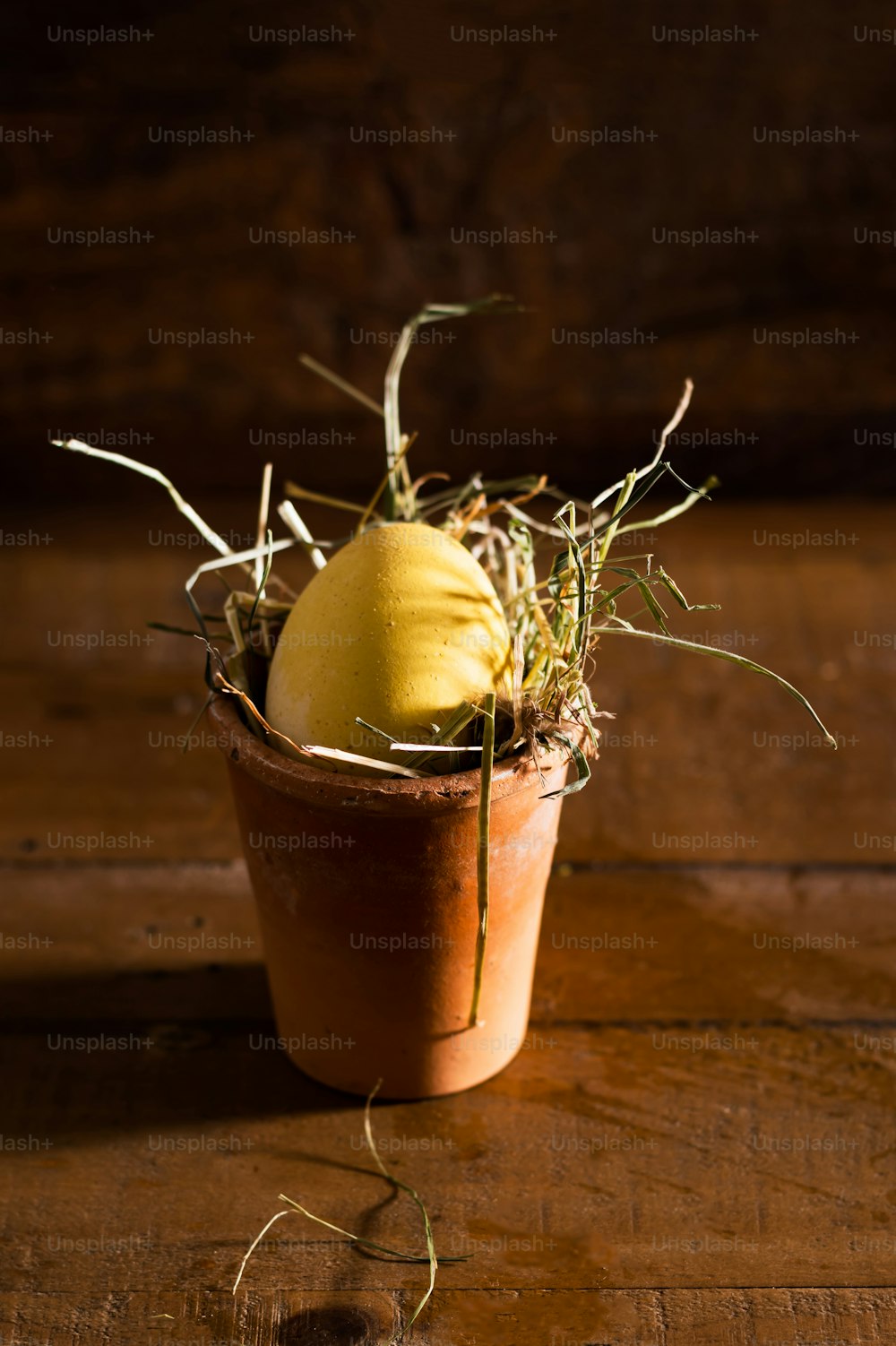 a potted plant with a yellow egg in it