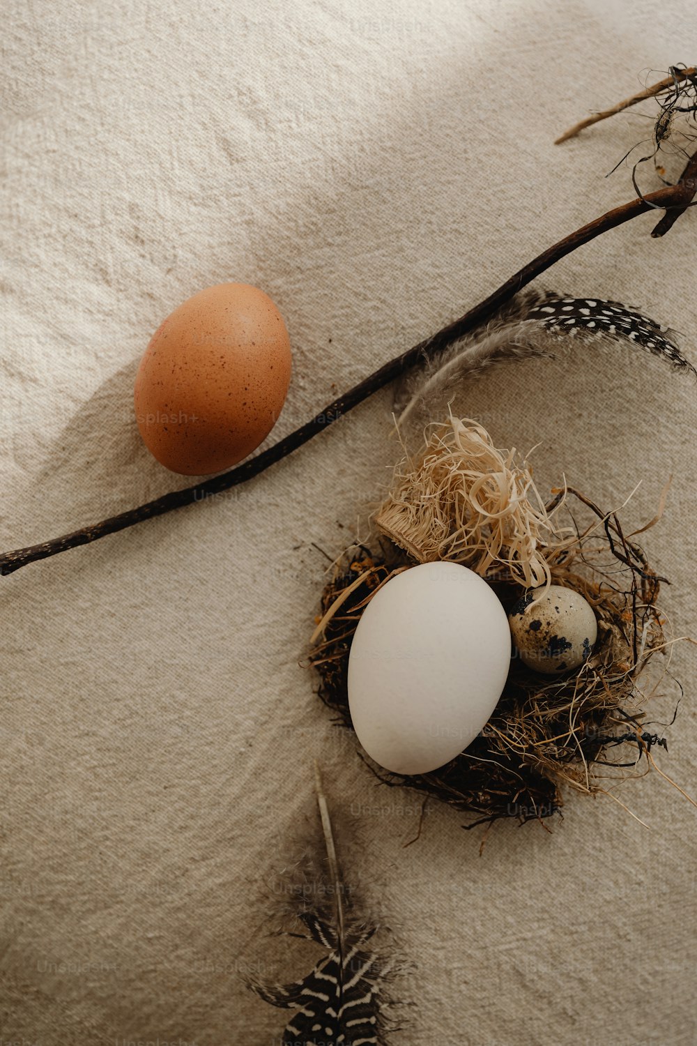 a bird's nest with two eggs and a pine cone
