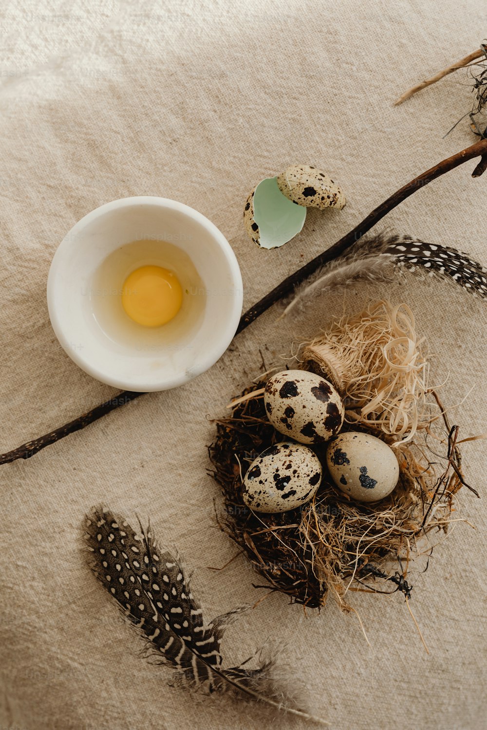 a bowl of eggs and some feathers on a table