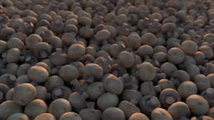 a large group of mushrooms sitting on top of a table