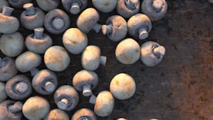 a bunch of mushrooms that are sitting on a table