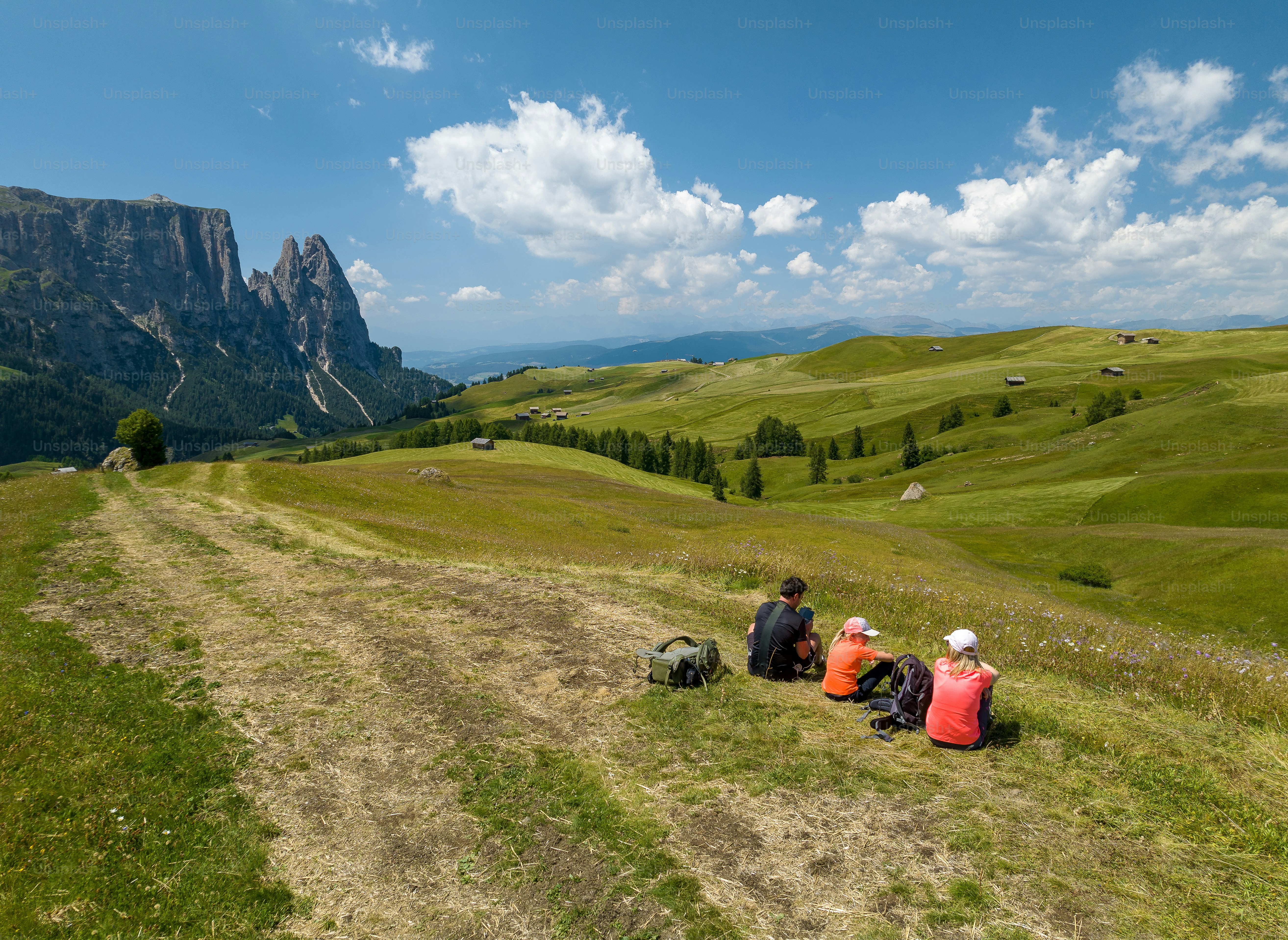 a group of people sitting on top of a lush green hillside