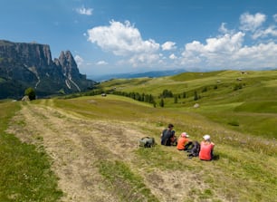 a group of people sitting on top of a lush green hillside