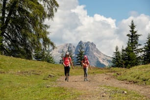 a couple of people walking down a dirt road