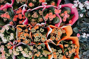 ある種の鉢に入っている花の束