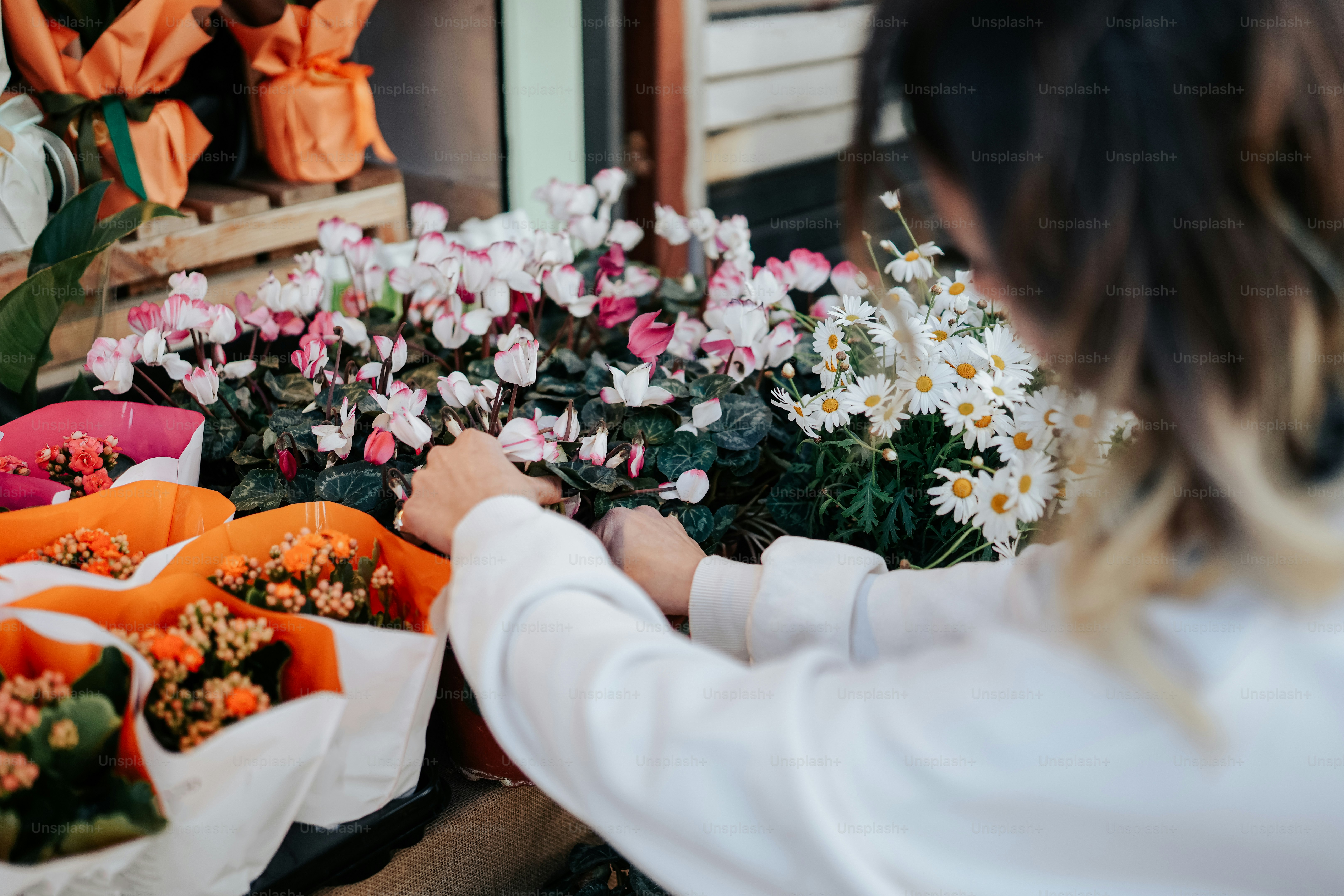A woman holding a bouquet of red roses photo – Flower Image on Unsplash