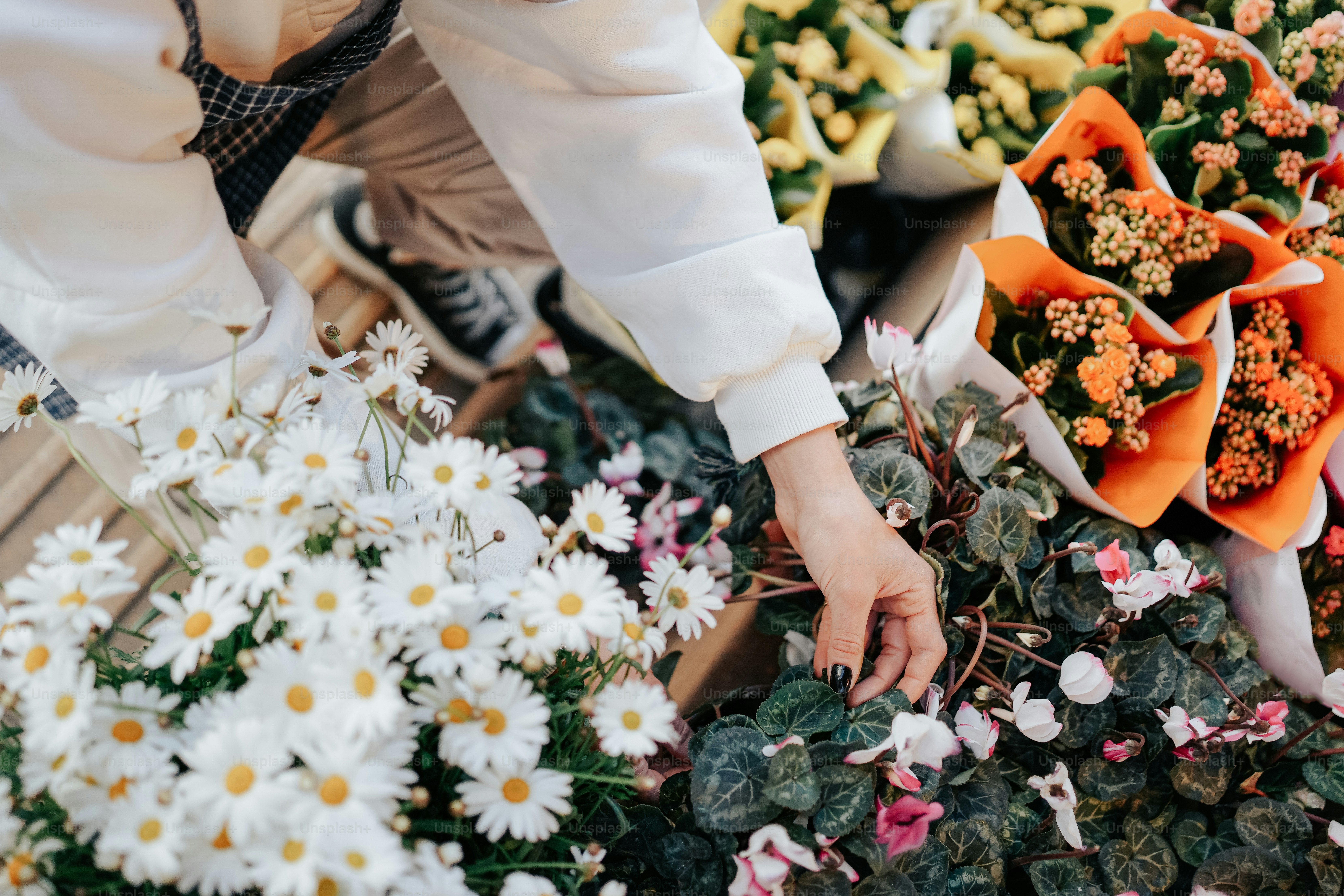 Eine Person, die einen Blumenstrauß aufhebt