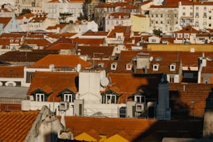 uma vista dos telhados de uma cidade