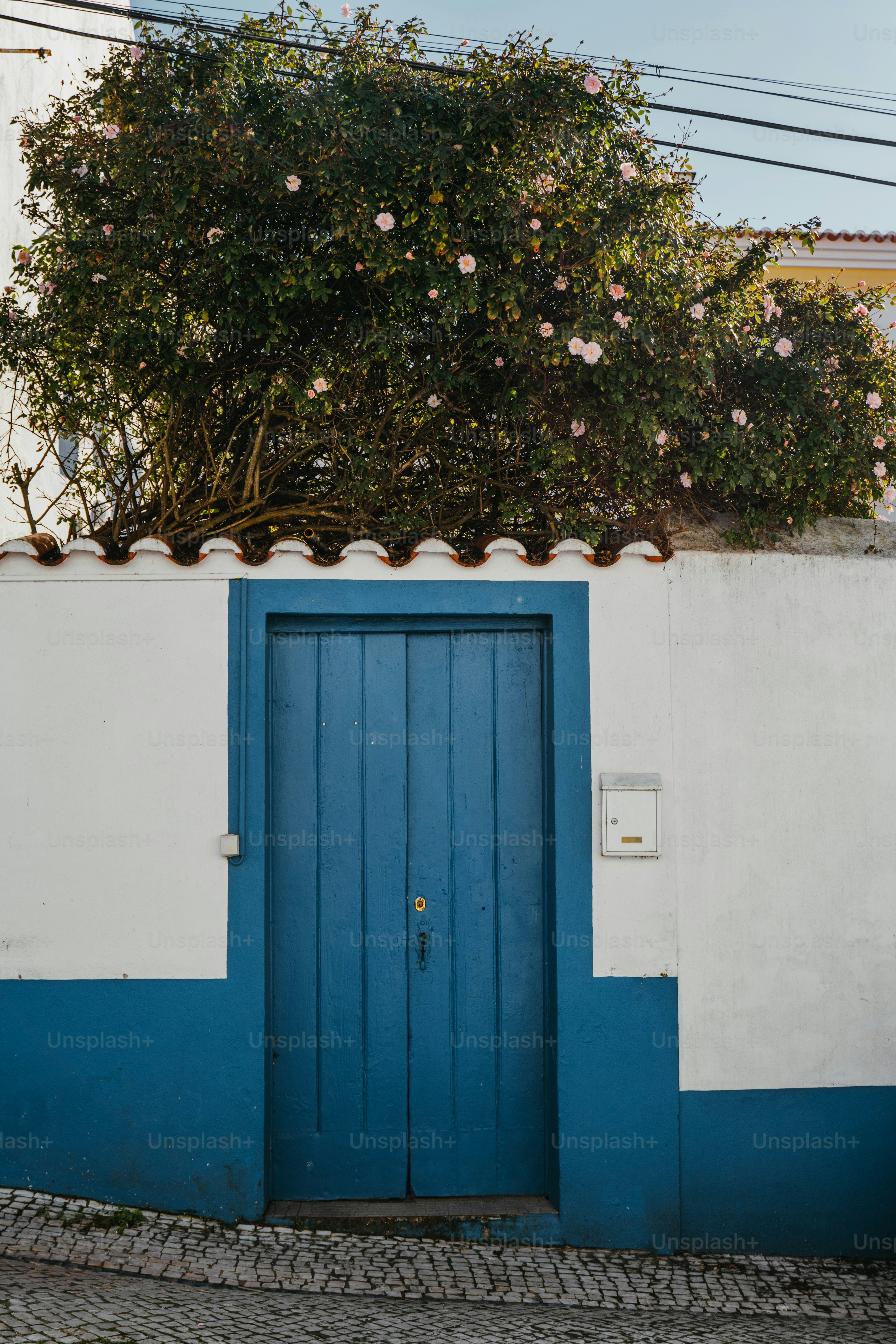 a blue and white building with a blue door