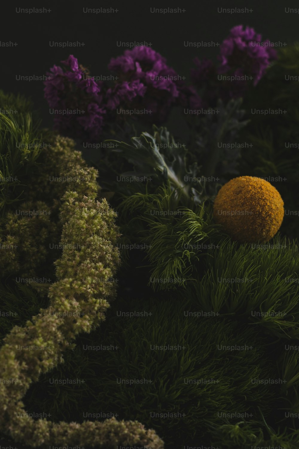 a yellow ball sitting on top of a lush green plant