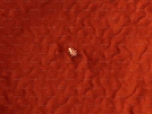 um único pedaço de papel sentado em cima de uma superfície vermelha
