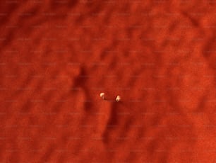 dois pequenos objetos brancos em uma superfície vermelha