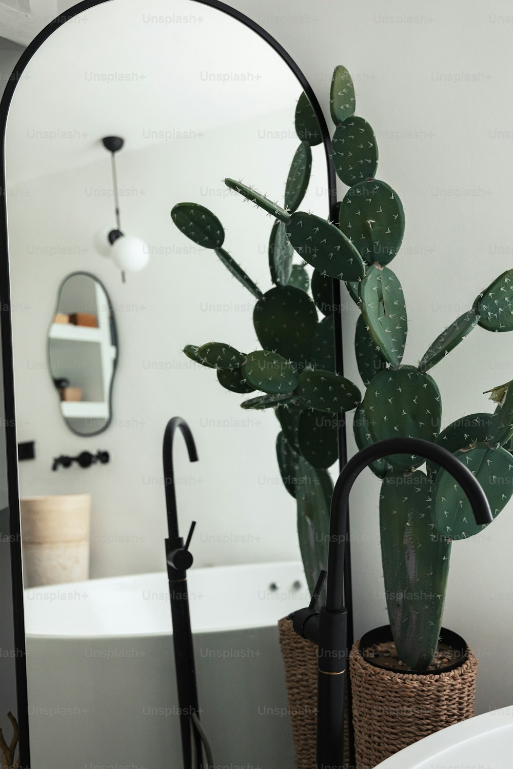 Una planta en maceta sentada en un baño junto a un espejo