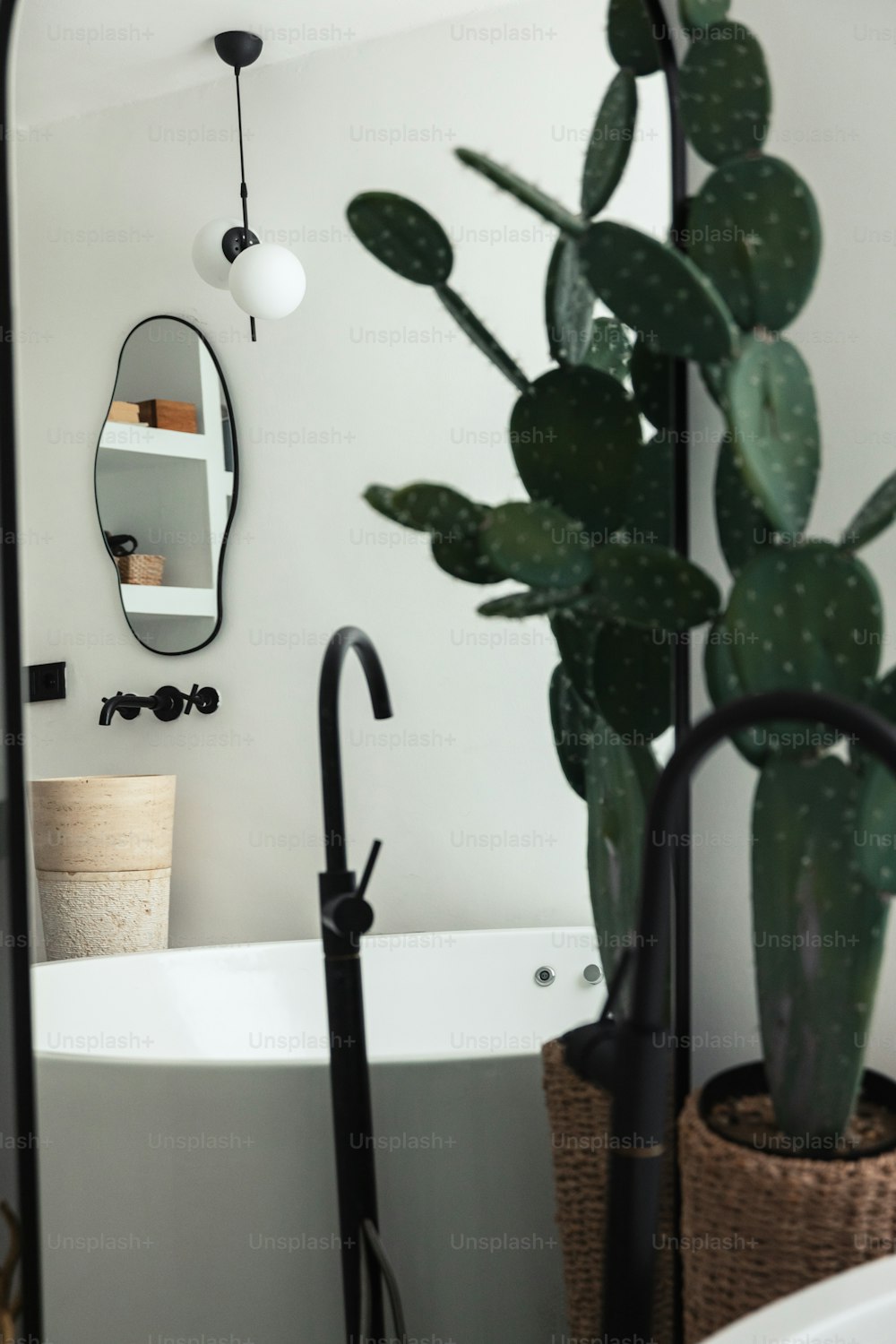 a bathroom with a plant and a mirror
